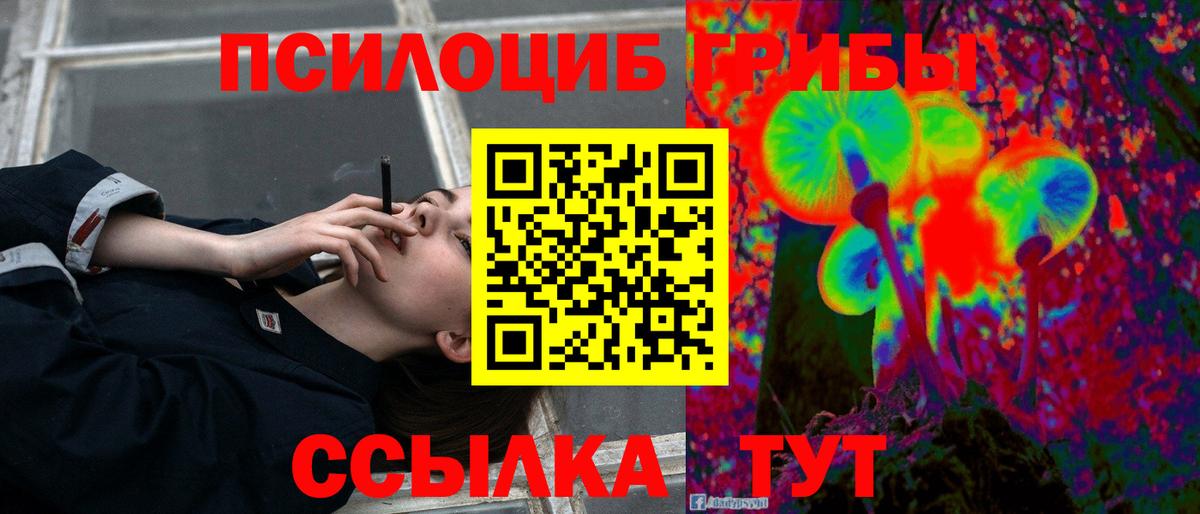 Галлюциногенные грибы MAGIC MUSHROOMS  Вход с VPN  Волжский  Псилоцибиновые грибы Magic Shrooms 